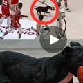 Pas ukrao šou Čileancima u pobedi nad Argentinom (video)