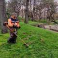 Uređenje blokovskog zelenila u Romanijskoj