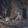 Bogata paleontološka zbirka pećine Risovača predstavljena na moderan način