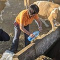 Тамара Миленковић Керковић: Потребно је одмах решити проблем несташице воде за стоку на Ракошу