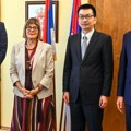 Kineska kompanija u Pokrajinskoj vladi Gojković sa predstavnicima Power China o projektu „Vetrozelena“