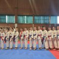 Karatisti Srema na Kupu Vojvodine – 15 medalja i plasman na Kup Srbije