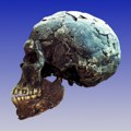 Kako je izgledao prvi Homo sapiens: Naučnici rekonstruisali lice najstarijeg poznatog čoveka
