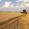 Откуп 200.000 тона пшенице као мера помоћи ратарима