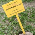 "Hercegovačka je bila početak": Pionirski park propada, "niču" šatori i pokretni toaleti