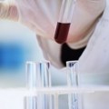 Veliko otkriće kineskih naučnika sa Univerziteta Tianjin Prirodno jedinjenje sprečava rast ćelija raka jetre