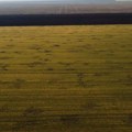 Uništena avio-bomba u Delibatskoj peščari