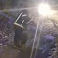 Oboreno drveće, hitno reagovali vatrogasci! Sneg pravi haos širom zemlje, saobraćaj zaustavljen kod Jabuke