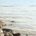 Ekološki incident na Halkidikiju: Izlile se otpadne vode u jednom od najposećenijih letovališta, zabranjeno kupanje