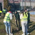 Akcija „Ne lomite nam bagrenje“: Studenti zasadili 15 stabala u Inđiji (VIDEO)