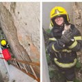 FOTO: Mala Keja spasena iz dubokog svetlarnika – vatrogasci Novog Sada pokazali veliko srce