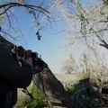 Putinova odmazda: Ka Ukrajini poleteo rekordan broj dronova (foto, video)