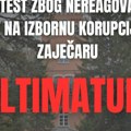 Šta kaže poslanik SSP o ultimatumu studenata za Vidovdan: Ja sam se vratio sa studija u Londonu u Srbiju…
