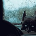 Šta je „Betmen efekat“? Kako pretvaranje da ste superheroj može da vam pomogne na poslu