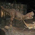 Poslednji obrok tiranosaurusa bile su dve bebe