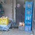 Због ових призора из Тивта надлежни одмах реаговали: Погледајте где се оставља хлеб који народ после купује