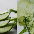 Zaboravite spirulinu i matchu: Aloe vera prah je novi wellness favorit Egzotičan ukus nove Eva riblje salate: Eva losos salata…