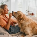 Da li vašem psu trebaju dodaci ishrani - veterinari imaju jasan odgovor
