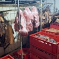 Palo prvo hapšenje zbog širenja afričke kuge: U Salašu Noćajskom pronađeno 7.060 kilograma mesa bez porekla