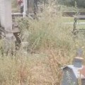 Čitaoci: Zapušteno bujanovačko groblje, iz Komunalca najavljuju sređivanje