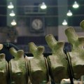 Skeleti dinosaurusa stari 76 miliona godina na aukciji za dva miliona dolara