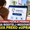 Zakon roditelj-negovatelj stupa na snagu 1. oktobra: zahtevi za ostvarivanje prava podnose se preko eUprave