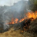 Deseci smrtno stradalih u šumskim požarima u Alžiru