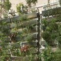 Kišnica i „siva voda“ kao alternativa za zalivanje zelenila u Beču