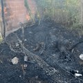 Čitaoci javljaju: U Bogojevcu požar, izazvala ga žica koja je pala sa drvene bandere