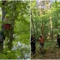 MUP: Vatrogasci spasili paraglajderistu koji je zbog vetra pao i ostao zaglavljen u krošnji 15 metara visokog drveta