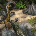 Praistorijska borba predatora: Ko je ubio ‘pticu-teror’