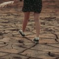 Smrtonosne posledice klimatskih promena: Više od 24.000 Evropljana preminulo usled ekstremnih vrućina