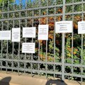 "Sramota nas je njegove sramote": Profesori Jovine gimnazije odgovorili na direktorovo "lično saopštenje" na sajtu škole