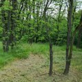 Košutnjak na meti investitora: "Institucije zaštite ne postoje na primeru parkova i šuma"