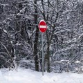 Uprava za šume upozorila: Sneg i niske temperature prete da ugroze divljač u lovištima Srbije
