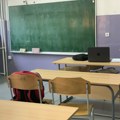 Niš uvodi hitne mere: psima zabranjen ulazak u škole i vrtiće