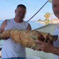 Paradajz turisti postali jagnjeća brigada Srbi na grčku plažu doneli celo pečenje, pljušte komentari (foto)
