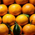 Mandarine iz Hrvatske zaustavljene na granici, uništene zbog pesticida