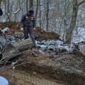 Traži se smena direktora Nacionalnog parka Fruška gora: Popločava šumsku stazu na Stražilovu bez potrebnih dozvola