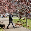 Sutra smena sunca i oblaka, uveče pljuskovi s grmljavinom