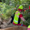 Novi Sad: Spasioci na Fruškoj gori kod Popovice izvukli muškarca koji je pao i povredio se (FOTO, VIDEO)