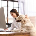Генерација З тражи послове преко друштвених мрежа: Класичан ЦВ пао у заборав (Видео)