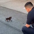 Pronašao ga je samog i uplašenog na ulici: Policajac spasao štene, a onda doneo odluku koja je dirnula svet (foto/video)