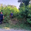Zajednička akcija EDS i Srbijašuma: Intenzivne pripreme elektromreže za zimsku sezonu