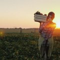 Poljoprivrednici poslali jasnu poruku: Evo šta se menja u podršci agraru i zašto je važno
