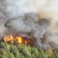 Nestaju u plamenu Najveći šumski požari divljaju kontinentom, vatrogasci iz celog sveta idu u Kanadu