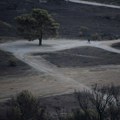 Šumski požar na severu Grčke i dalje van kontrole