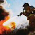 Lokalizovan požar u Dobanovcima, nema povređenih