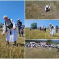 Ona je jedina žena na kosačkom Vimbldonu održanom u Srbiji Gordana uzela kosu u ruke i zamahuje muški; Najvažniji je prvi…