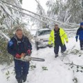 Monteri eds u borbi sa nevremenom: Otklonjeni svi veći kvarovi na elektromreži